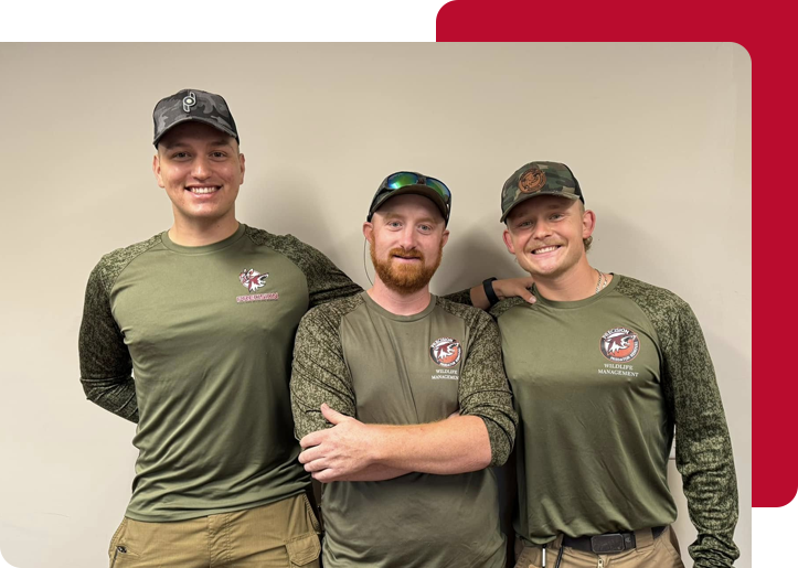 Pest Control and Wildlife Removal Exterminators
