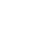 racoon icon