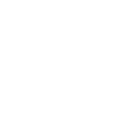 armadillo icon