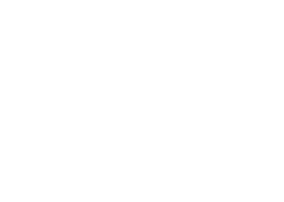 opossum icon