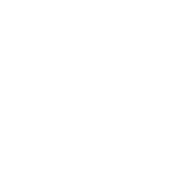 Ant Icon