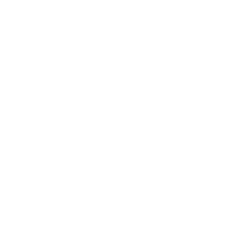 Boxelder Icon