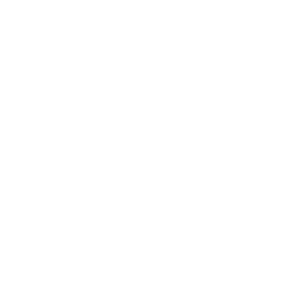 Cricket Icon