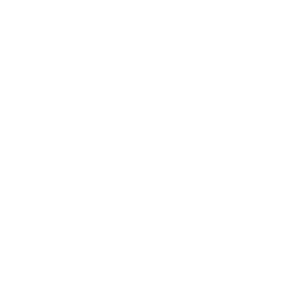 Honey Bee Icon