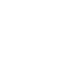 Hornet Icon