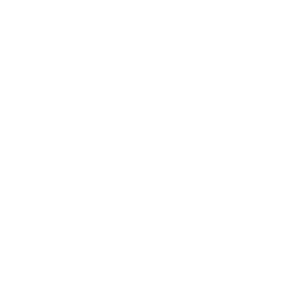 Yellow Jacket Icon